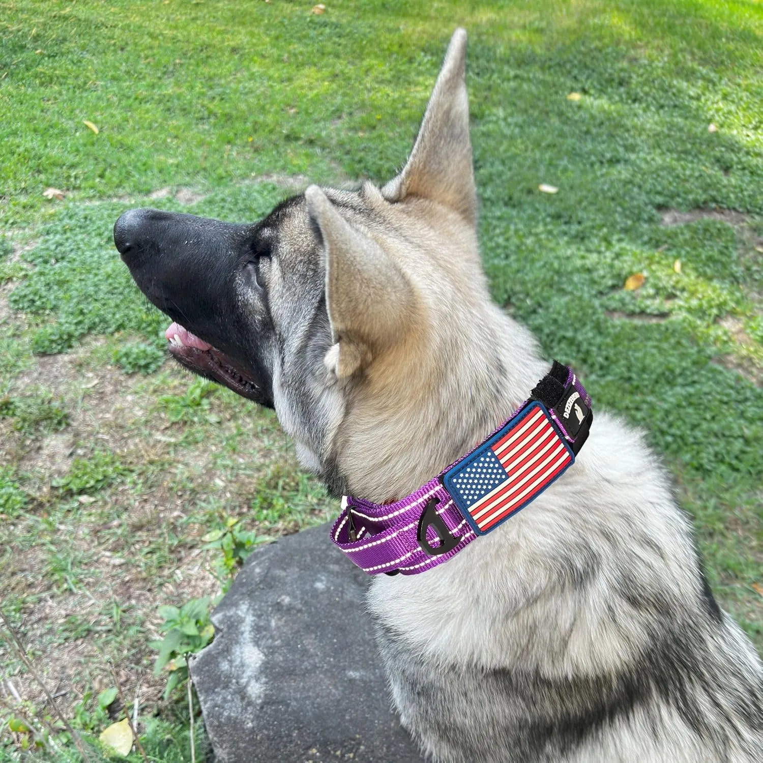 2-Inch Wide Tactical Dog Collar with Control Handle, Adjustable for Medium & Large Dogs, Military Style with Heavy-Duty Metal Buckle, USA Flag Patch & Customizable Name Plate, Training & Everyday Use