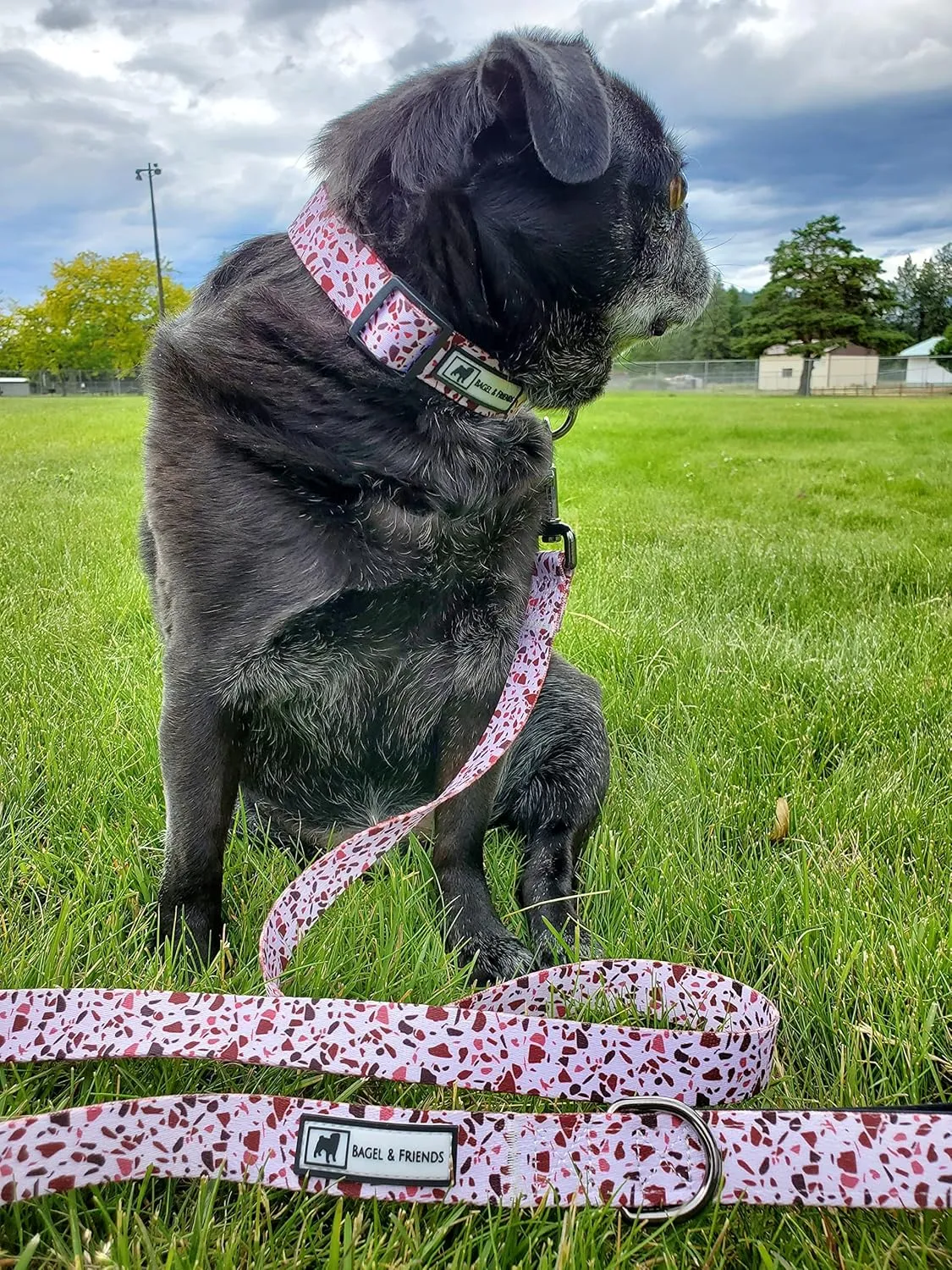 Bagel & Friends Matching Dog Collar & Leash Set XSmall, Small, Medium, Large for boy, Male, Female, Girl Dogs and Puppy (Small, Speckled in Pink)