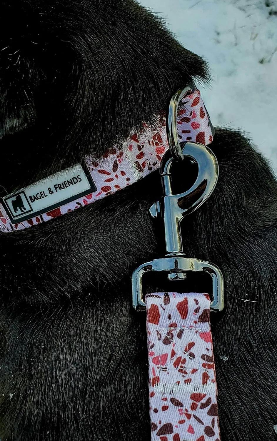 Bagel & Friends Matching Dog Collar & Leash Set XSmall, Small, Medium, Large for boy, Male, Female, Girl Dogs and Puppy (Small, Speckled in Pink)