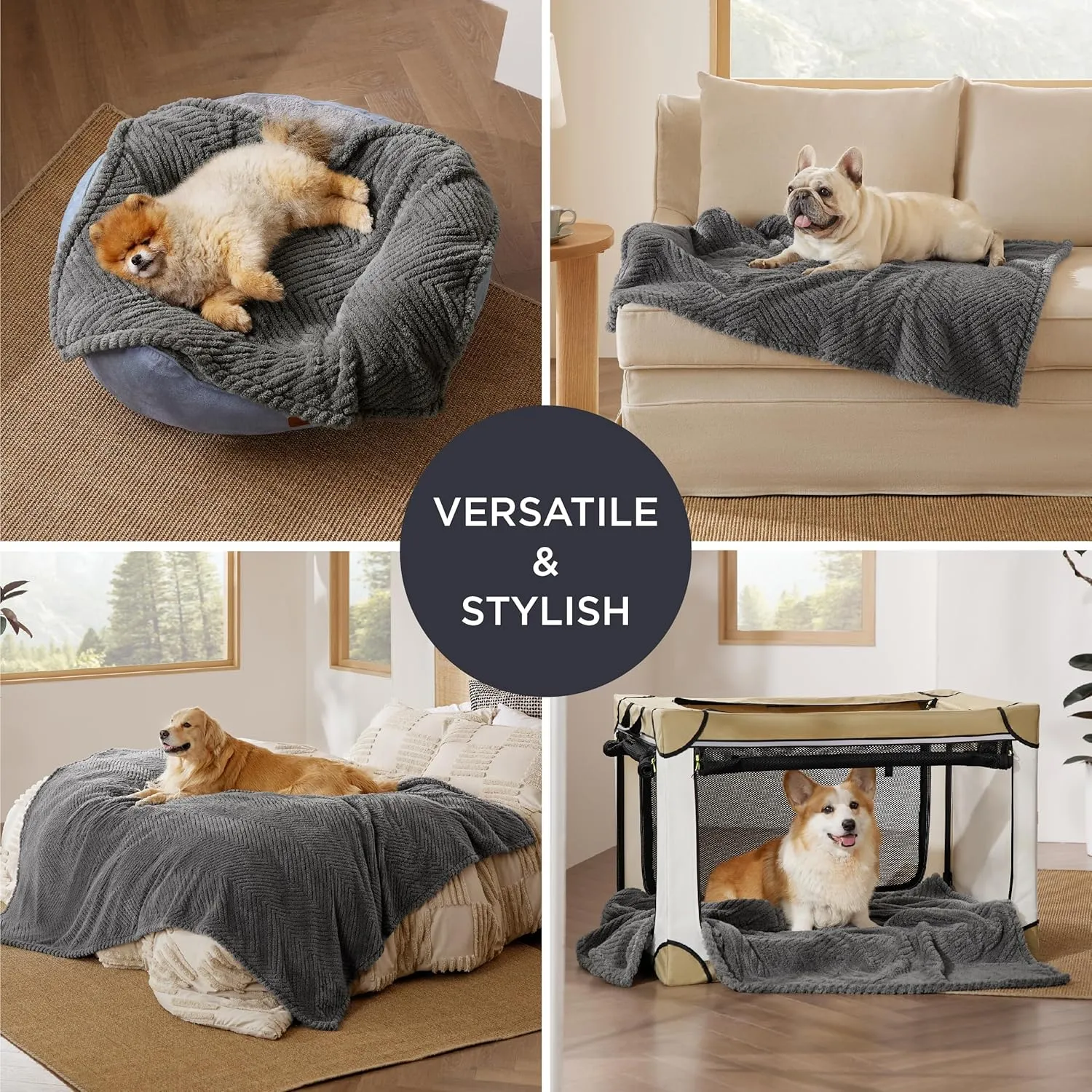 Bedsure 1 Pack 2 Dog Blankets for Small Dogs - 2pcs Washable Fluffy Fuzzy Puppy Cat Blanket with Premium 300GSM Coral Fleece Soft for Pet Kitten Doggy, Grey