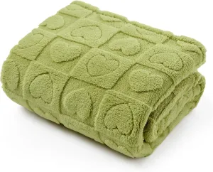 Bedsure Dog Blanket for Small Dogs Washable - Fluffy Fuzzy Puppy Cat Blanket with Premium 300GSM Coral Fleece Soft for Pet Kitten Doggy, Green, 25x35IN