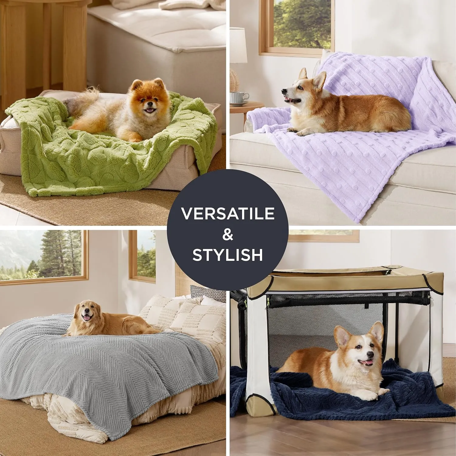 Bedsure Dog Blanket for Small Dogs Washable - Fluffy Fuzzy Puppy Cat Blanket with Premium 300GSM Coral Fleece Soft for Pet Kitten Doggy, Green, 25x35IN