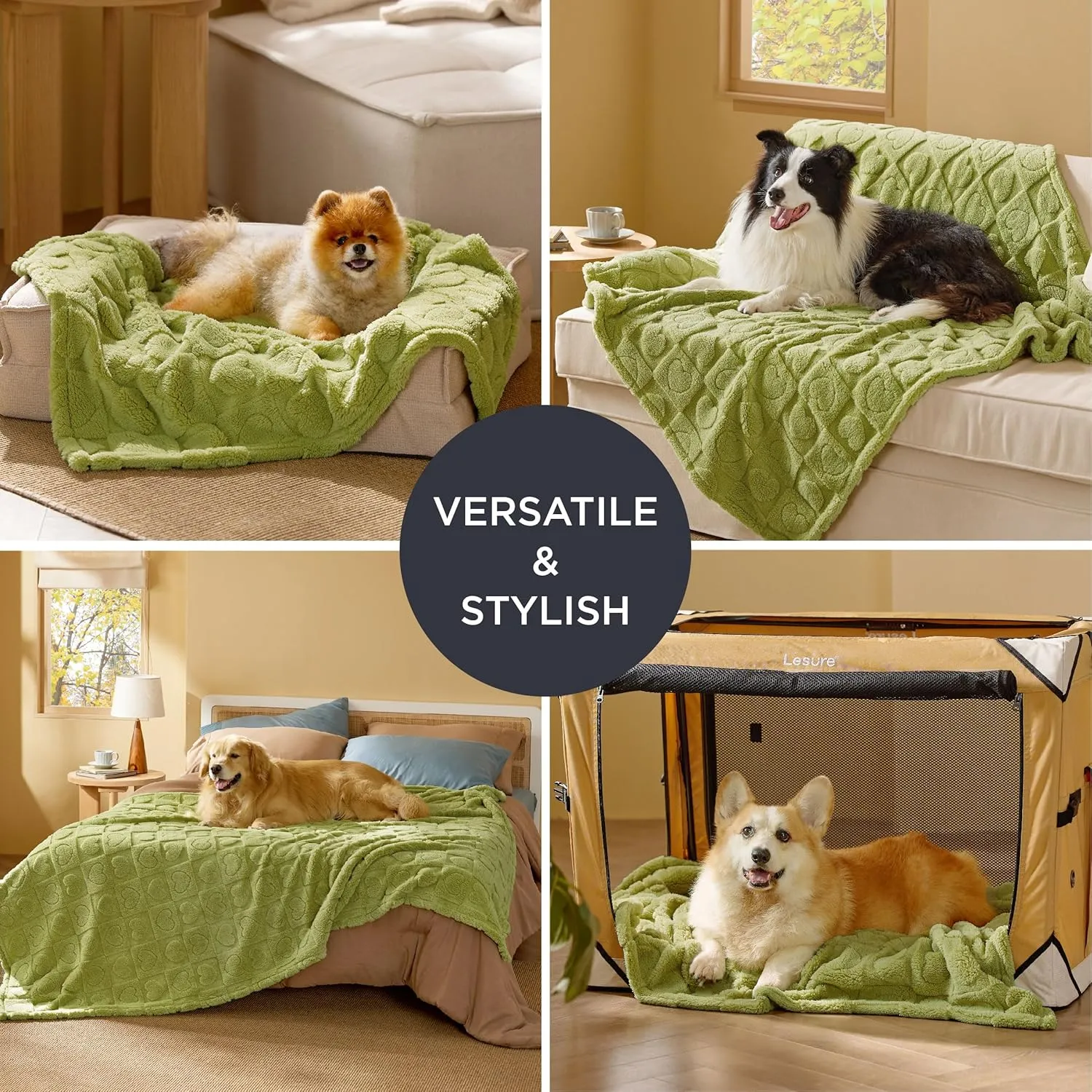 Bedsure Dog Blanket for Small Dogs Washable - Fluffy Fuzzy Puppy Cat Blanket with Premium 300GSM Coral Fleece Soft for Pet Kitten Doggy, Green, 25x35IN