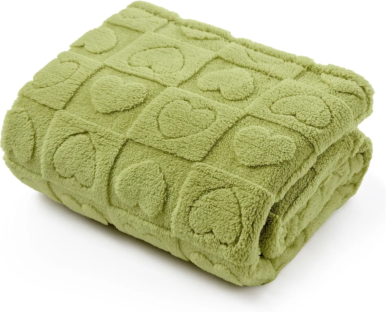 Bedsure Dog Blanket for Small Dogs Washable - Fluffy Fuzzy Puppy Cat Blanket with Premium 300GSM Coral Fleece Soft for Pet Kitten Doggy, Green, 25x35IN