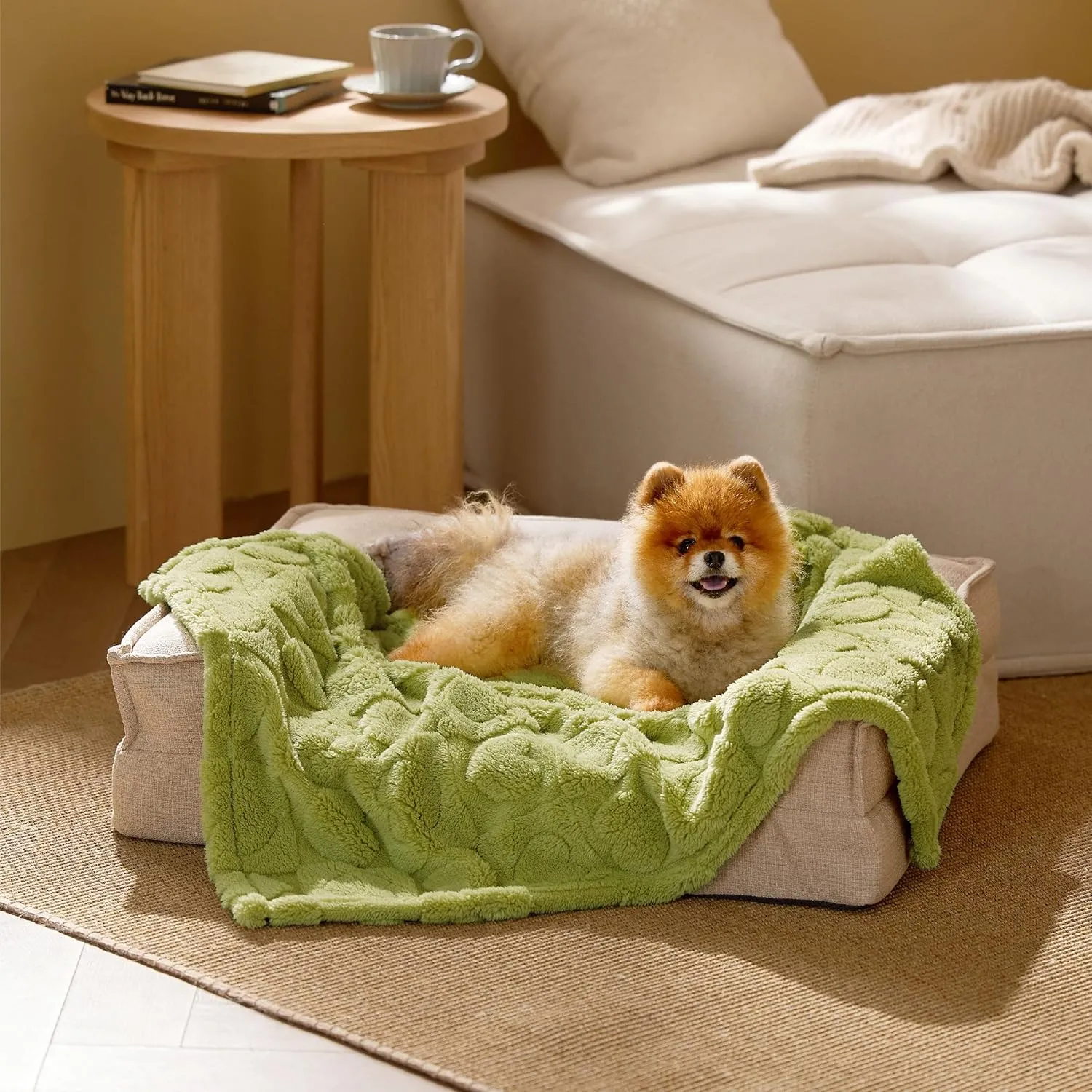 Bedsure Dog Blanket for Small Dogs Washable - Fluffy Fuzzy Puppy Cat Blanket with Premium 300GSM Coral Fleece Soft for Pet Kitten Doggy, Green, 25x35IN