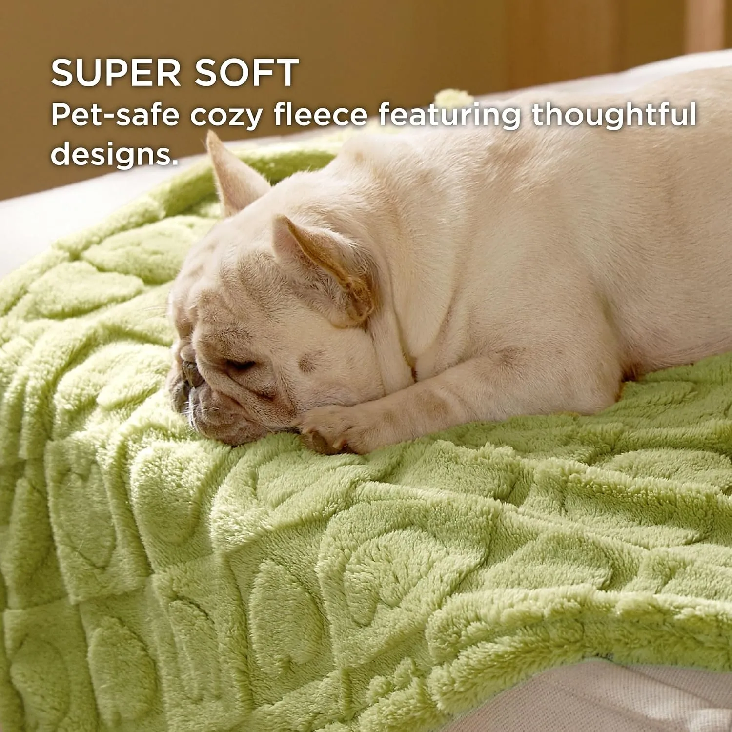 Bedsure Dog Blanket for Small Dogs Washable - Fluffy Fuzzy Puppy Cat Blanket with Premium 300GSM Coral Fleece Soft for Pet Kitten Doggy, Green, 25x35IN