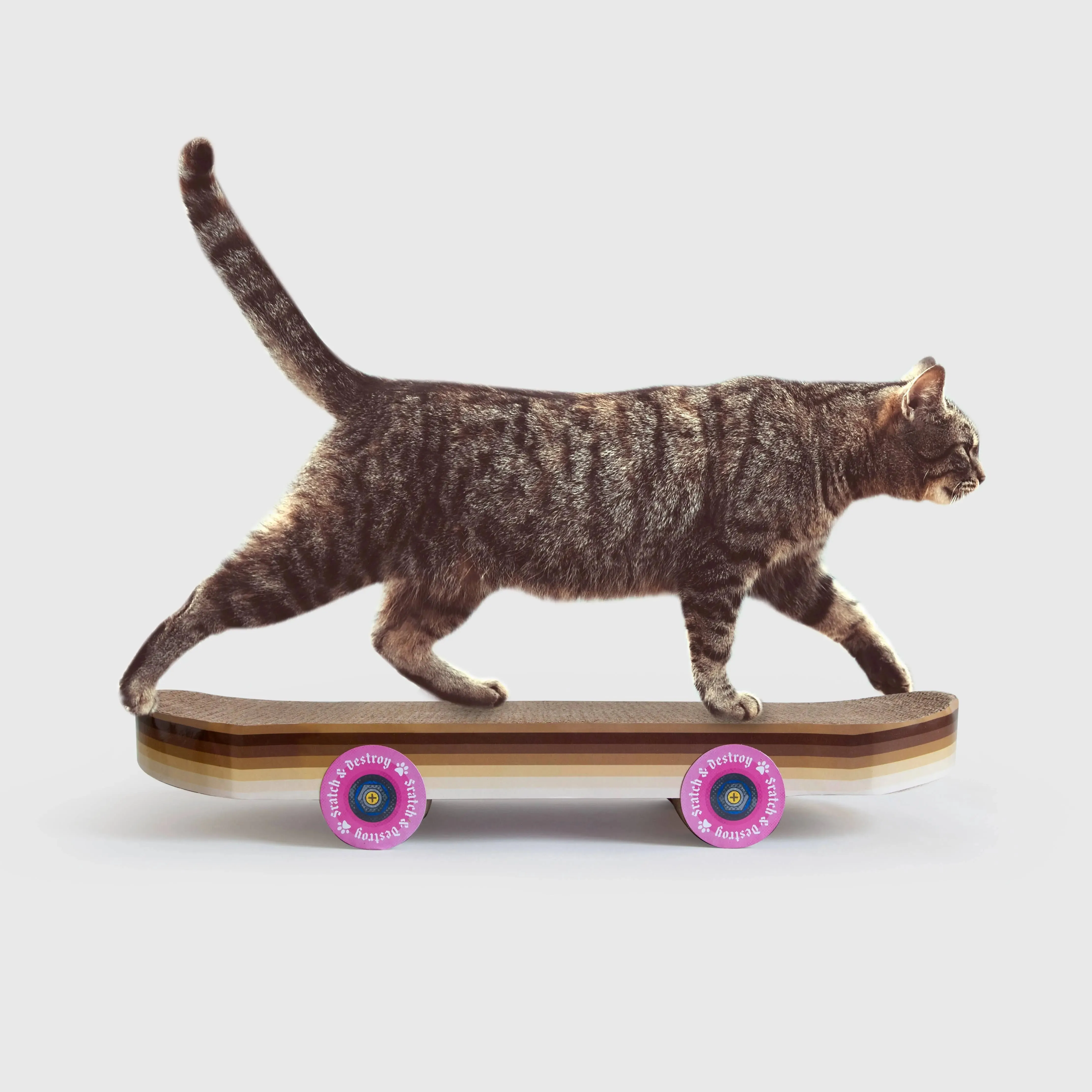 Cat Scratch Skateboard