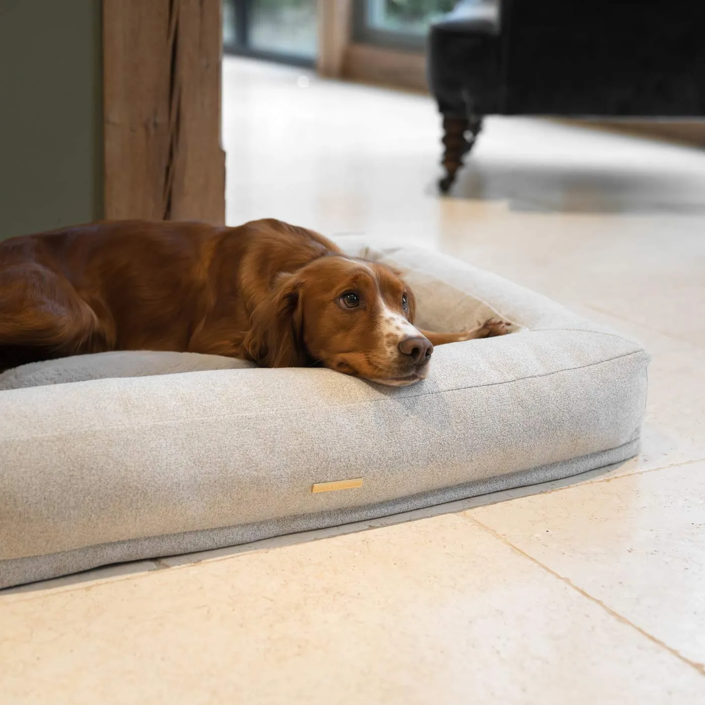 Comfort Cube Dog Bed in Ivory by Lords & Labradors