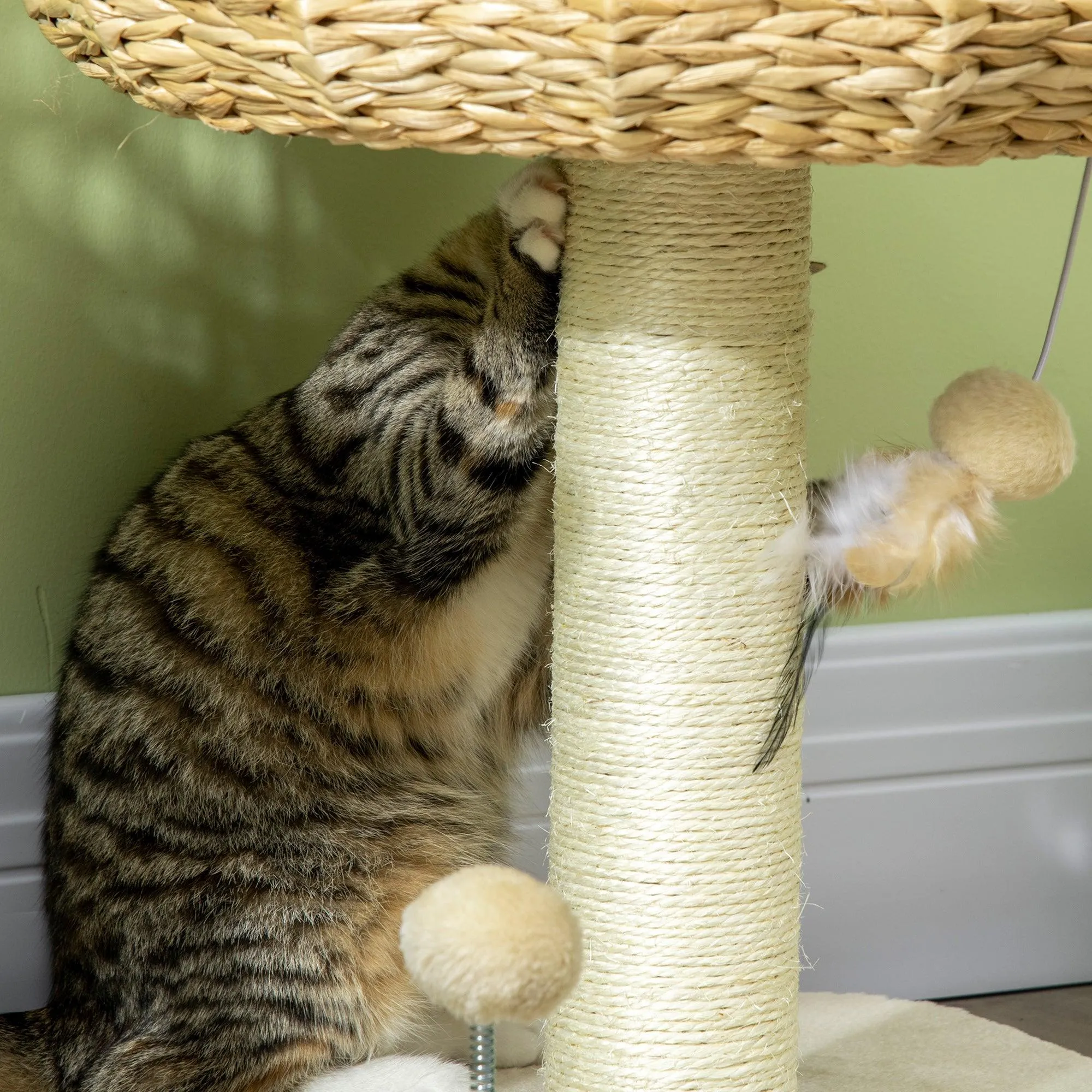 Compact Cat Climbing Tree Activity Center, 51cm - Beige