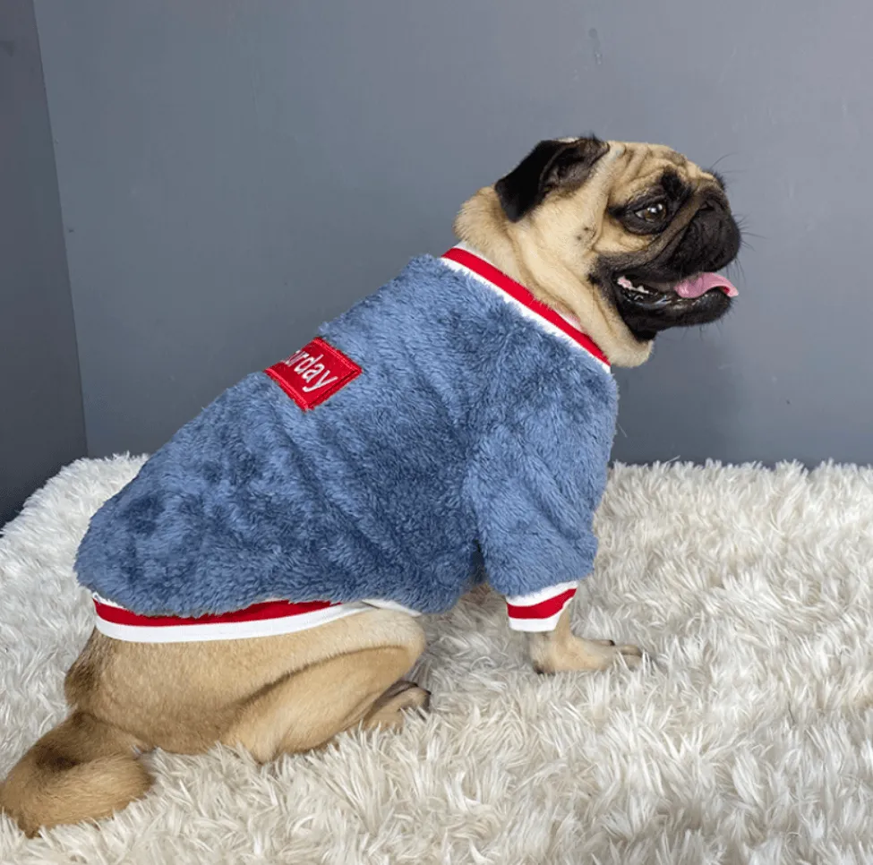 Cozy Pet Sweater – Warm & Stylish Sweaters for Cats and Dogs