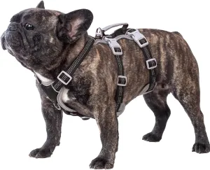 Escape Proof Dog Harness, Escape Artist Harness, Reflective Harness with Padded Handle, Breathable, Durable, Adjustable Vest for Medium Dogs Walking, Training, and Running Gear (Black, M)