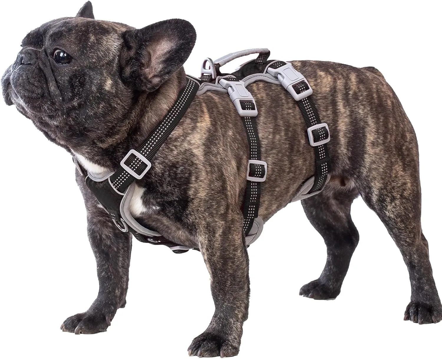 Escape Proof Dog Harness, Escape Artist Harness, Reflective Harness with Padded Handle, Breathable, Durable, Adjustable Vest for Medium Dogs Walking, Training, and Running Gear (Black, M)