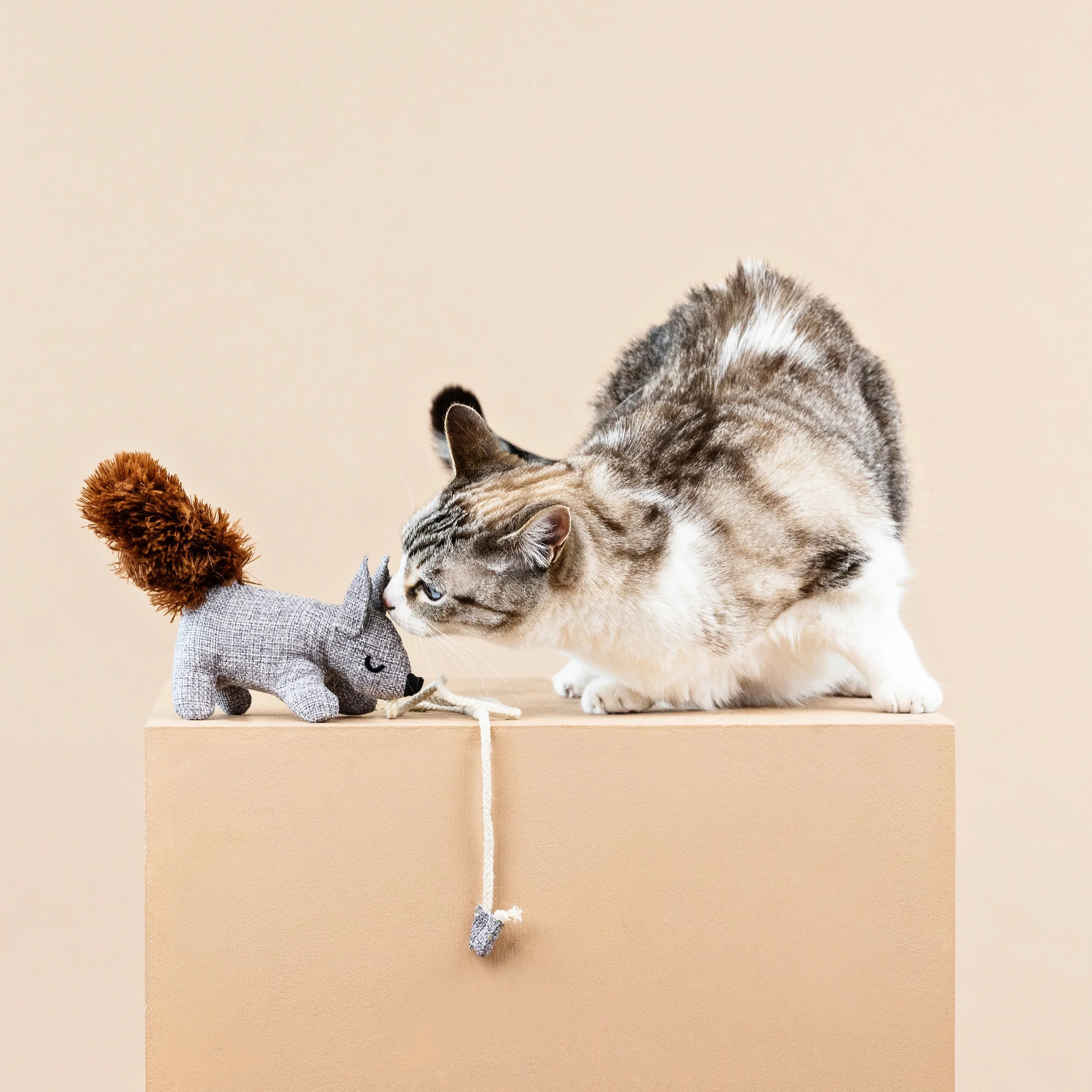 Fringe Cat Toy Teaser One Tuff Nut