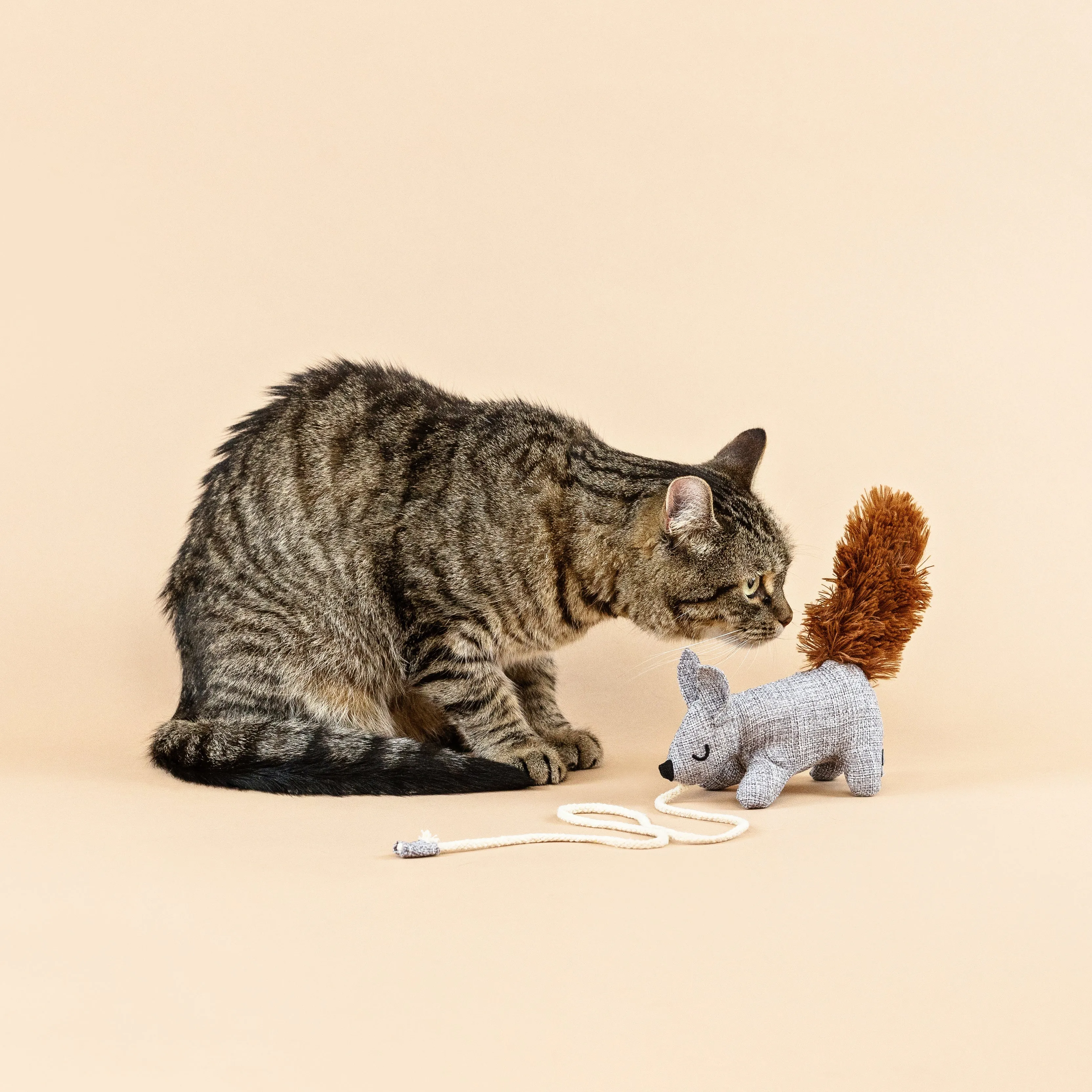 Fringe Cat Toy Teaser One Tuff Nut