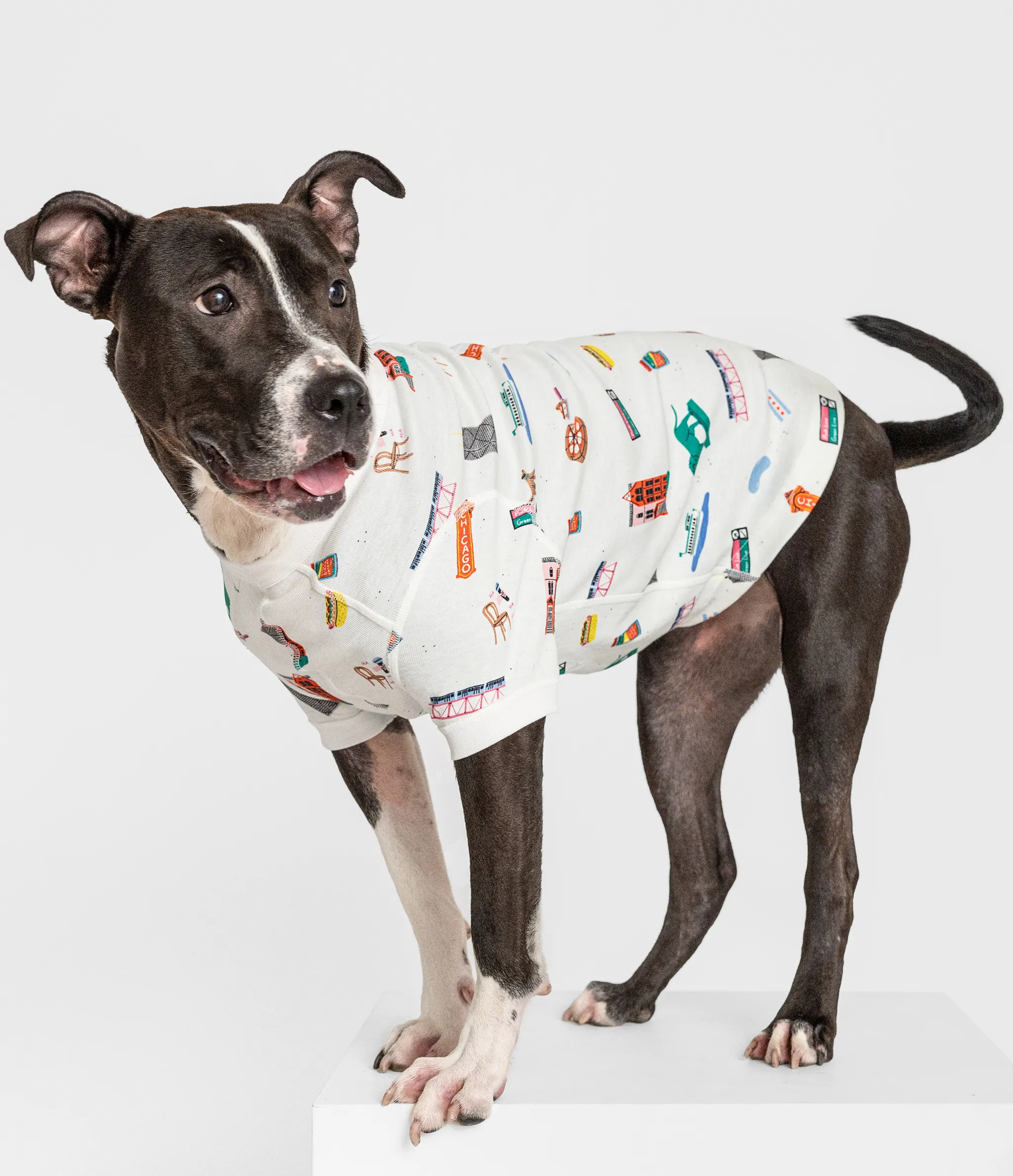 Goodnight, Chicago Pet Pajamas 🌭