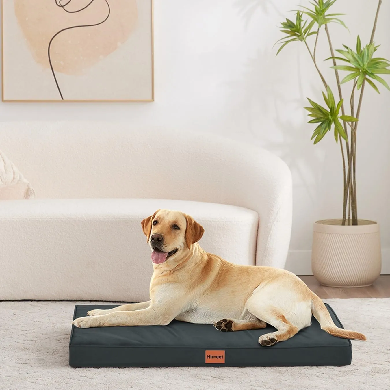 HIMEET- Dog Bed XXL Dog Bed 48 Inch Giant Dog Bed Washable Jumbo Dog Bed for Crate Orthopedic Huge Dog Bed Waterproof,Dog Bed XXL Egg-Crate Foam for Dogs Up to120lbs(Grey)