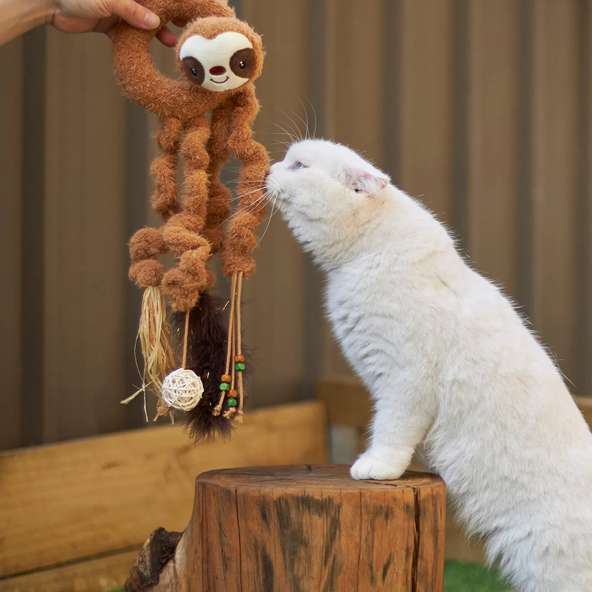 Interactive Long Legged Sloth with catnip