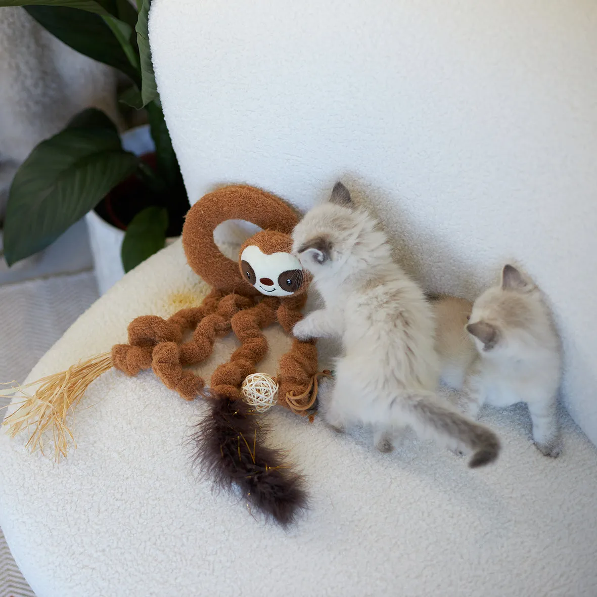 Interactive Long Legged Sloth with catnip