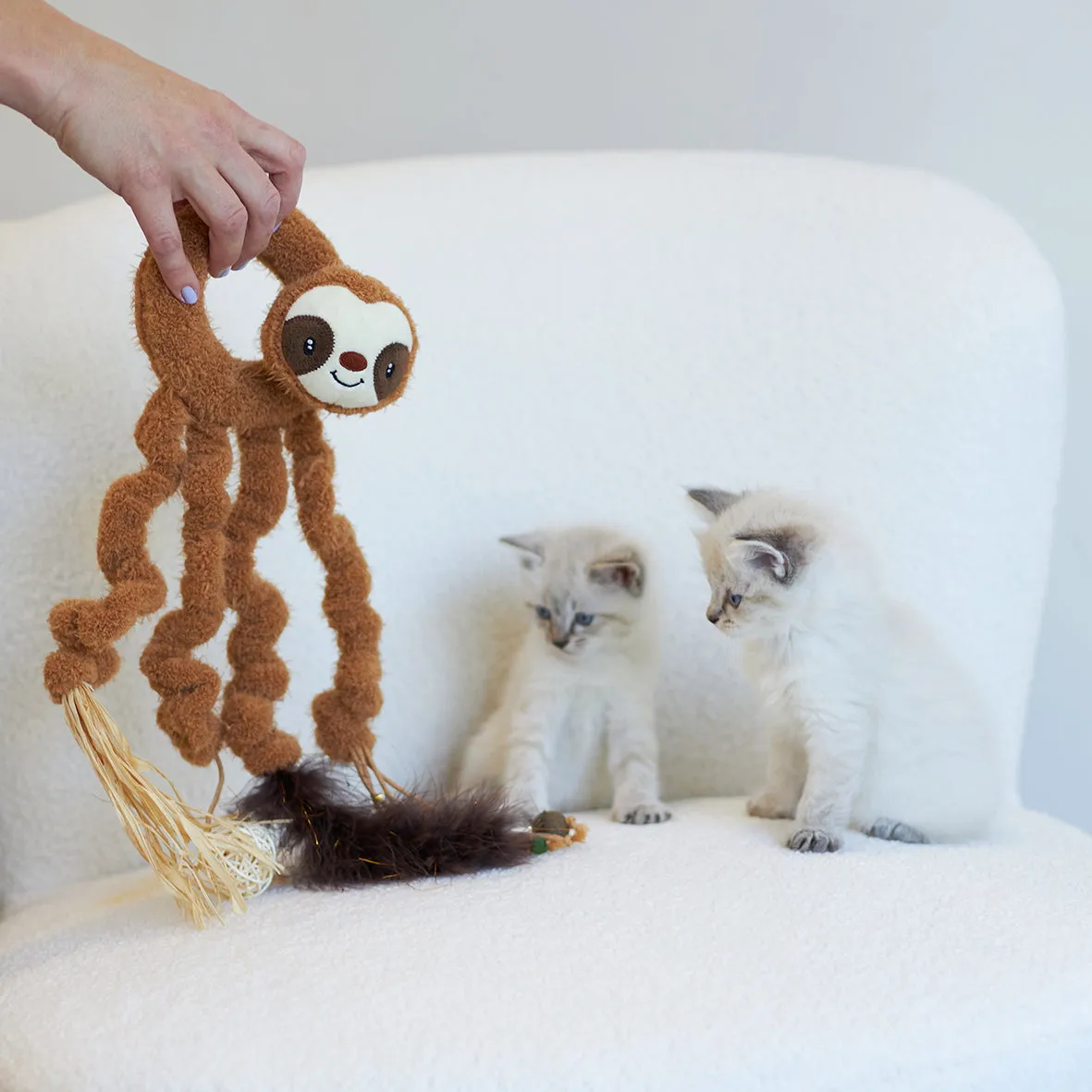 Interactive Long Legged Sloth with catnip
