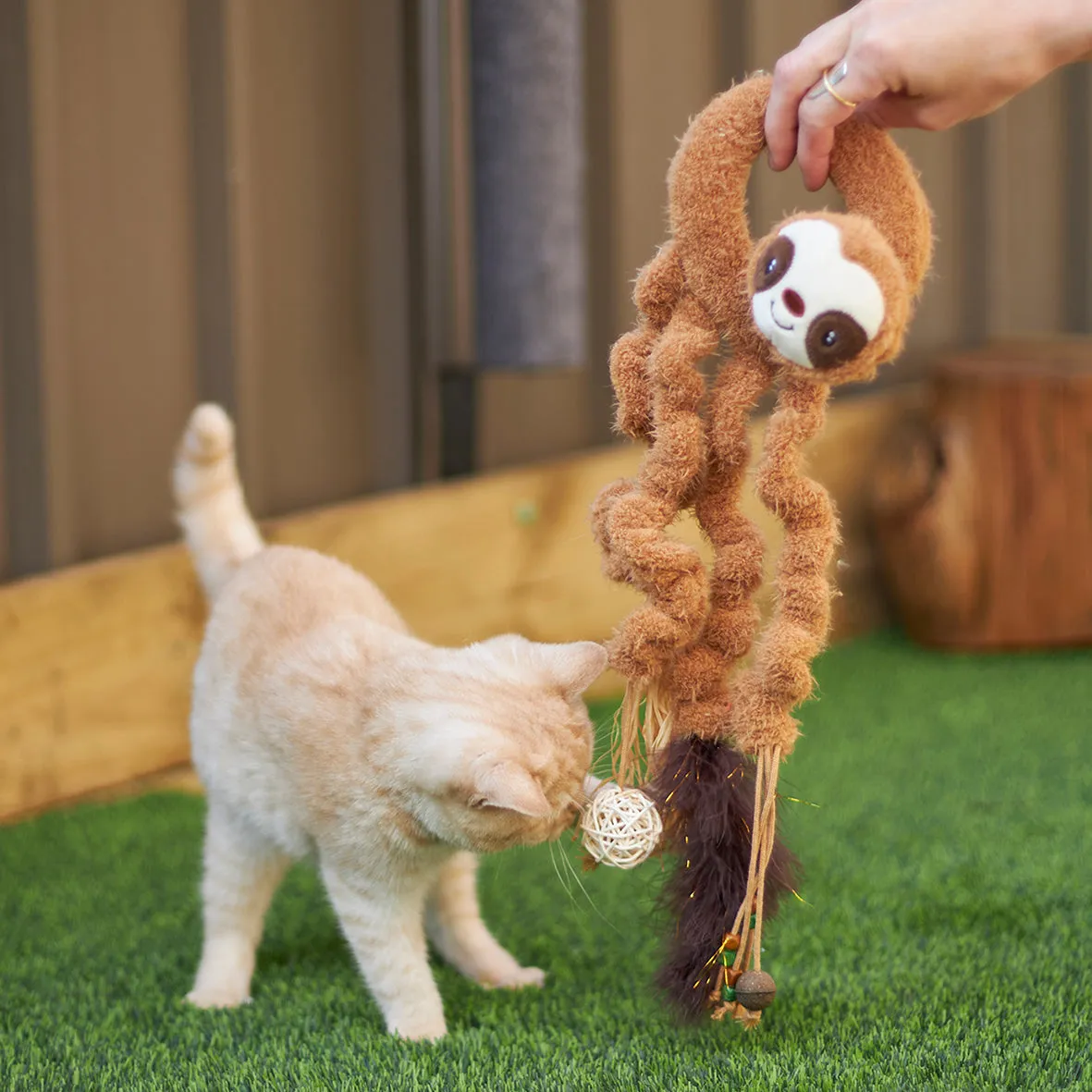 Interactive Long Legged Sloth with catnip