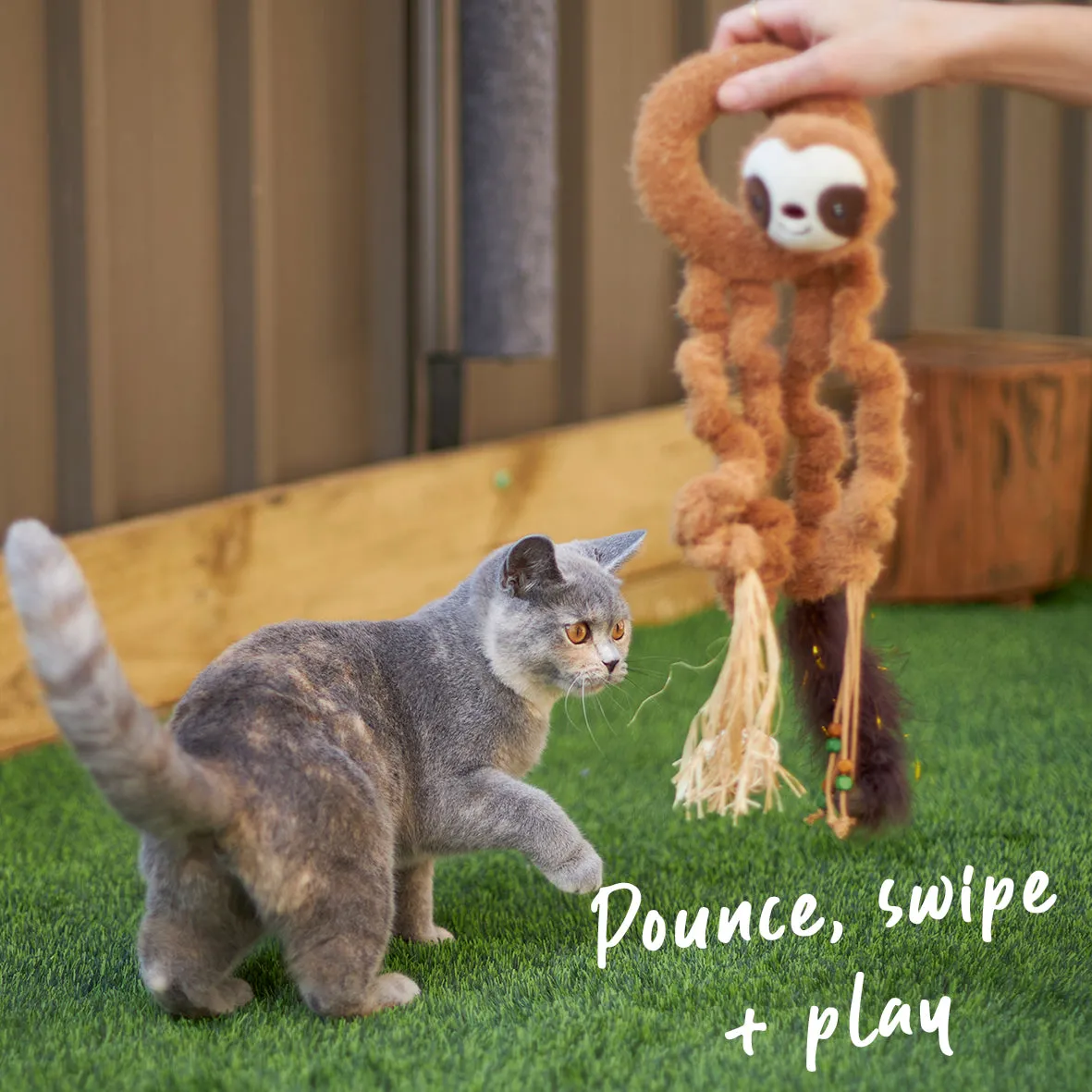 Interactive Long Legged Sloth with catnip