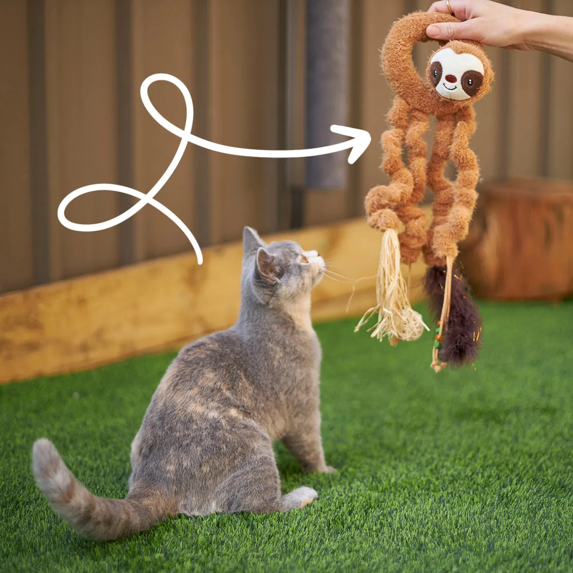 Interactive Long Legged Sloth with catnip