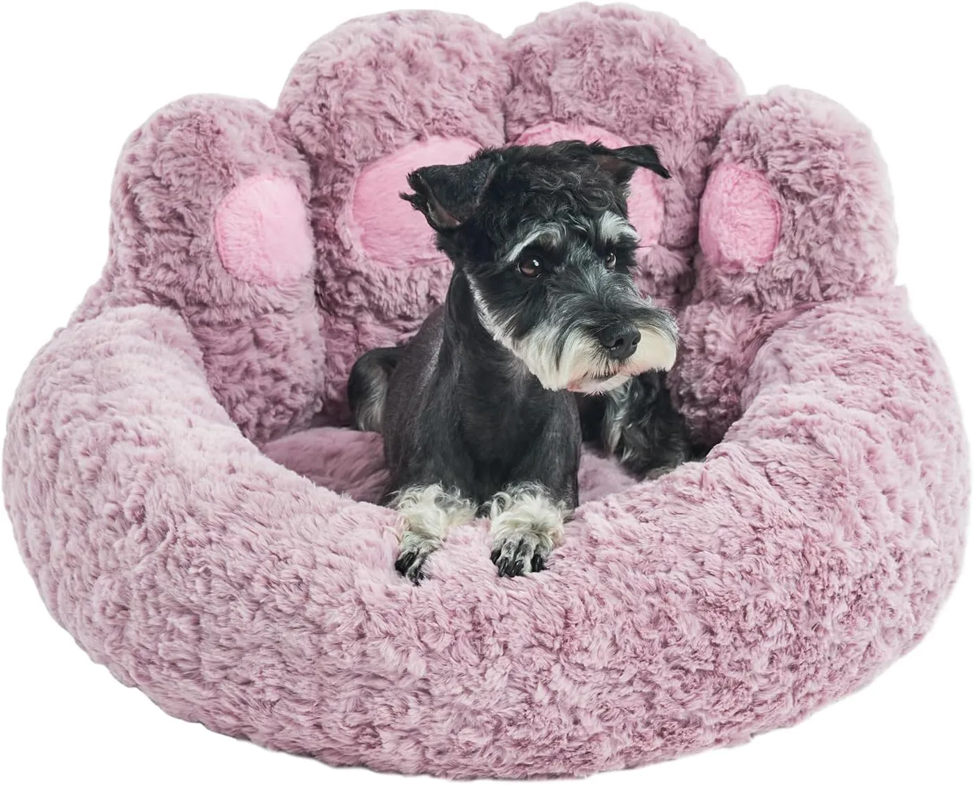 Jiupety Calming Cozy Comfy Small Dog and Cat Bed, Creative Donut Pets Bed with Standing Bear Paws, Anti-Anxiety, Non-Slip Purple, L Size 26" X 26" X 8"