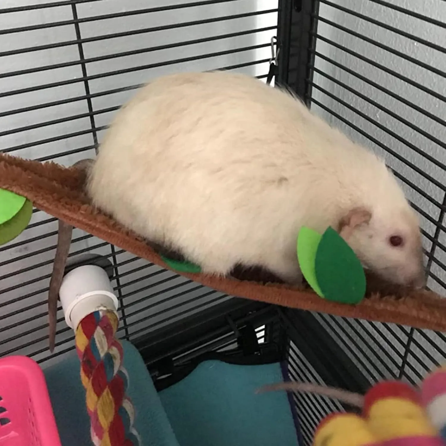 kathson 5pcs Hamster Hammock,Small Animals Hanging Warm Bed Rat Cage Hammock Set Squirrel Tunnel and Swing Cage Nest Accessories for Sugar Glider Ferret Sleeping Playing