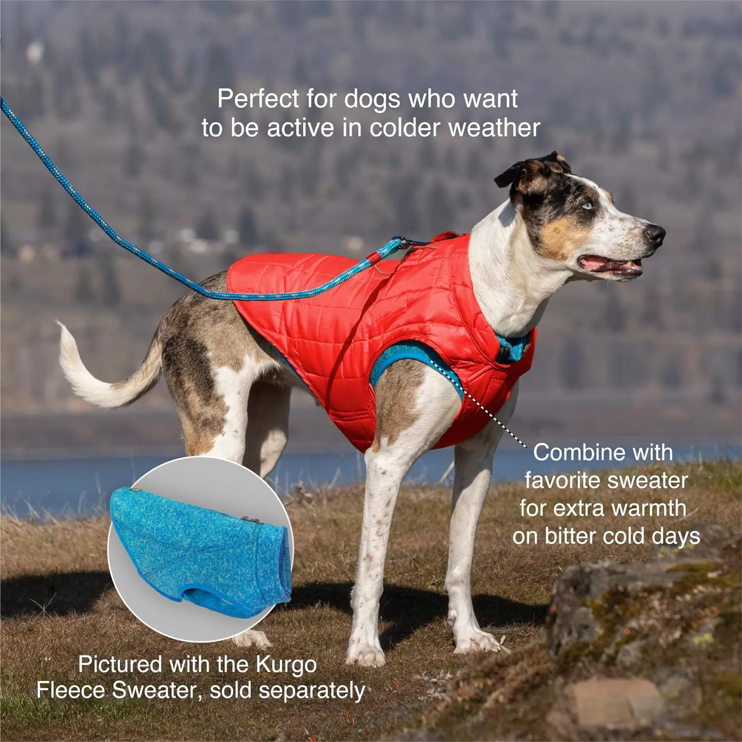 Kurgo Loft Dog Jacket, Reversible Dog Coat, Wear with Harness or Sweater, Water Resistant, Reflective, Winter Coat for Medium Dogs (Ink Blue, M)