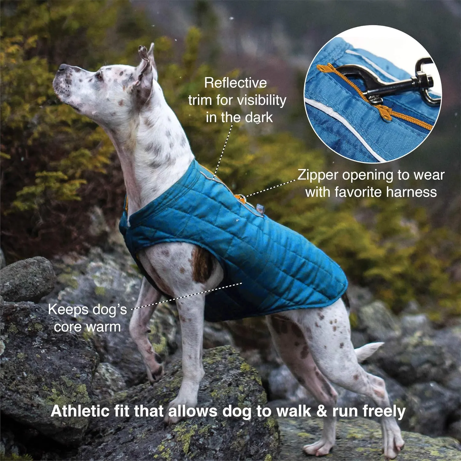 Kurgo Loft Dog Jacket, Reversible Dog Coat, Wear with Harness or Sweater, Water Resistant, Reflective, Winter Coat for Medium Dogs (Ink Blue, M)