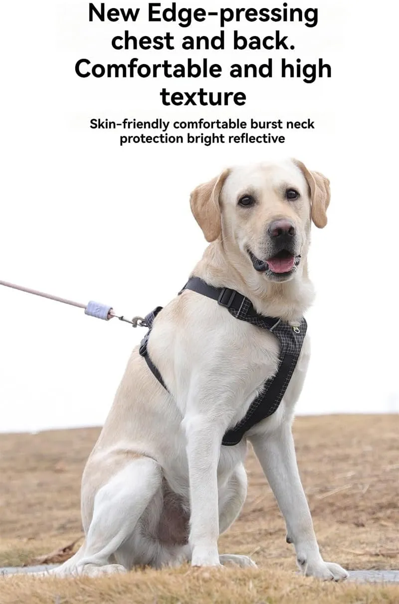 Lightweight Outdoor Dog Harness (Light Gray, M)
