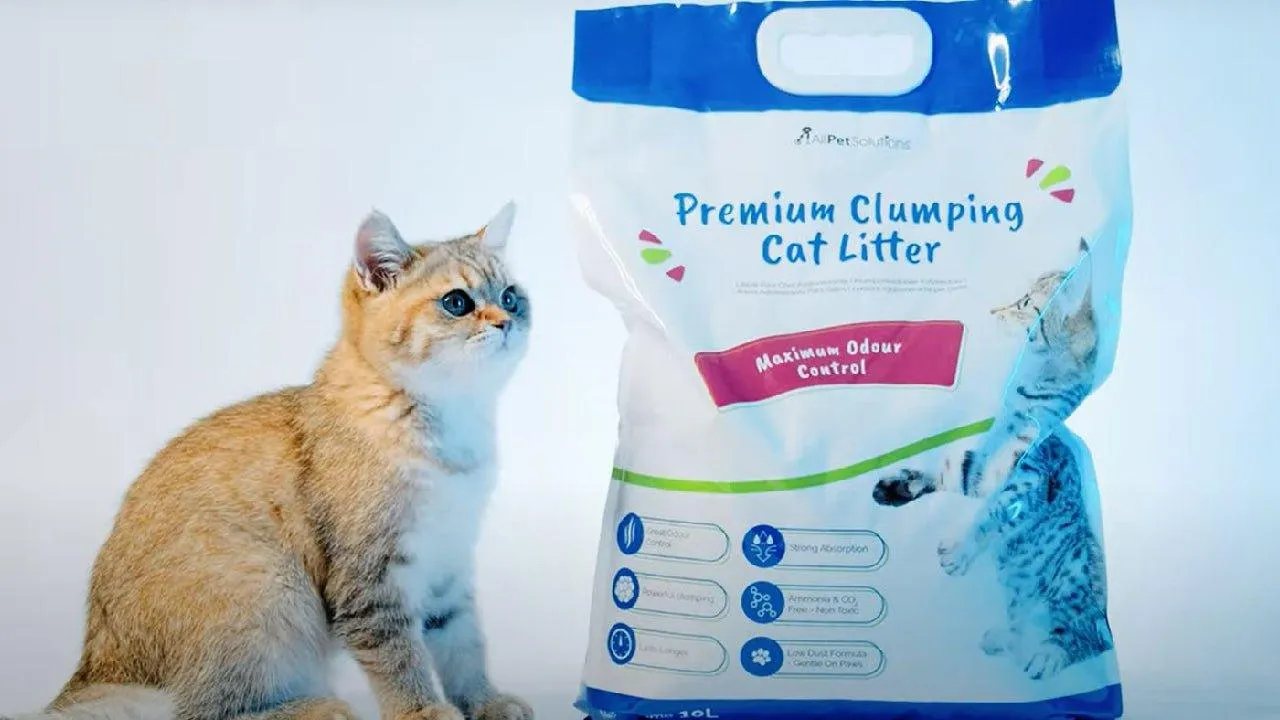 Maximum Odour Control Clumping Cat Litter 5L