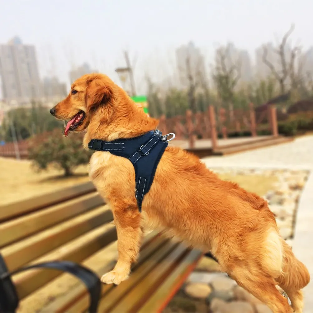 MerryBIY Adjustable Dog Harness with  & Collars, Leashes with Locking devices