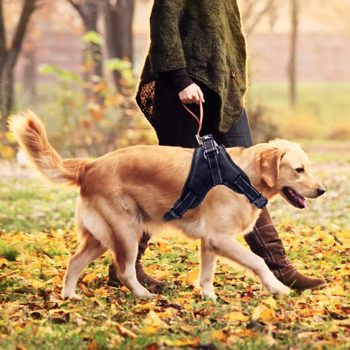 MerryBIY Adjustable Dog Harness with  & Collars, Leashes with Locking devices