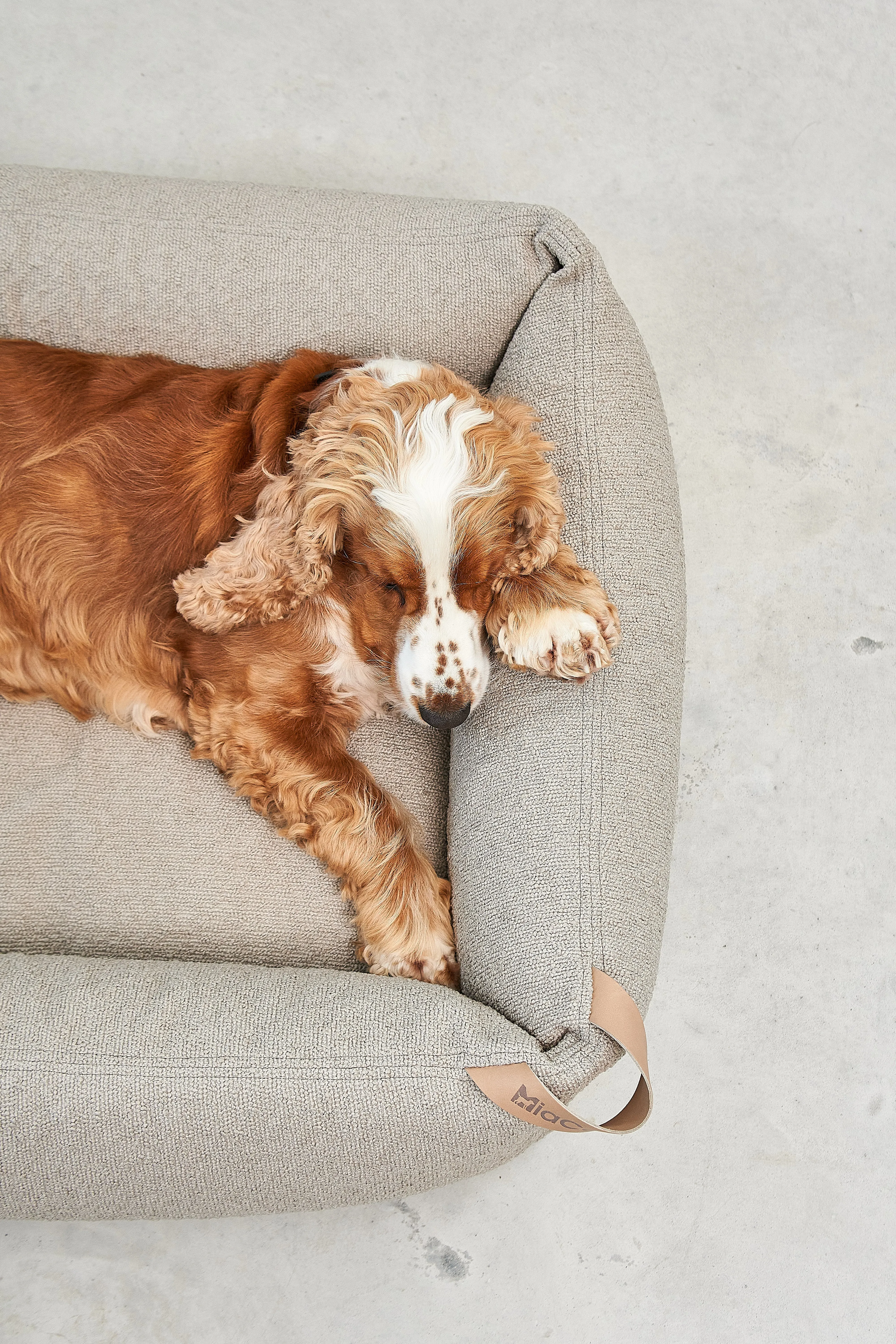 Miacara Mondo Orthopedic Dog Bed With Removable Cover