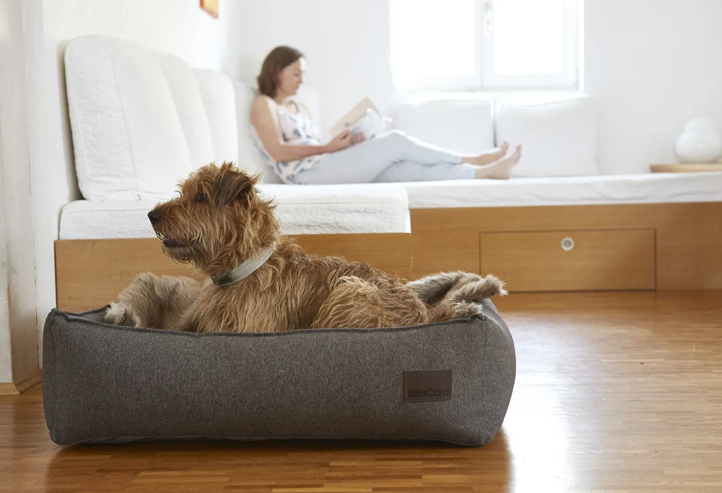Miacara nube box dog bed with durable premium Italian fabric