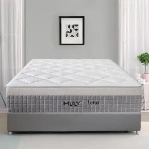 MLILY Lotus Long Single Hybrid Mattress