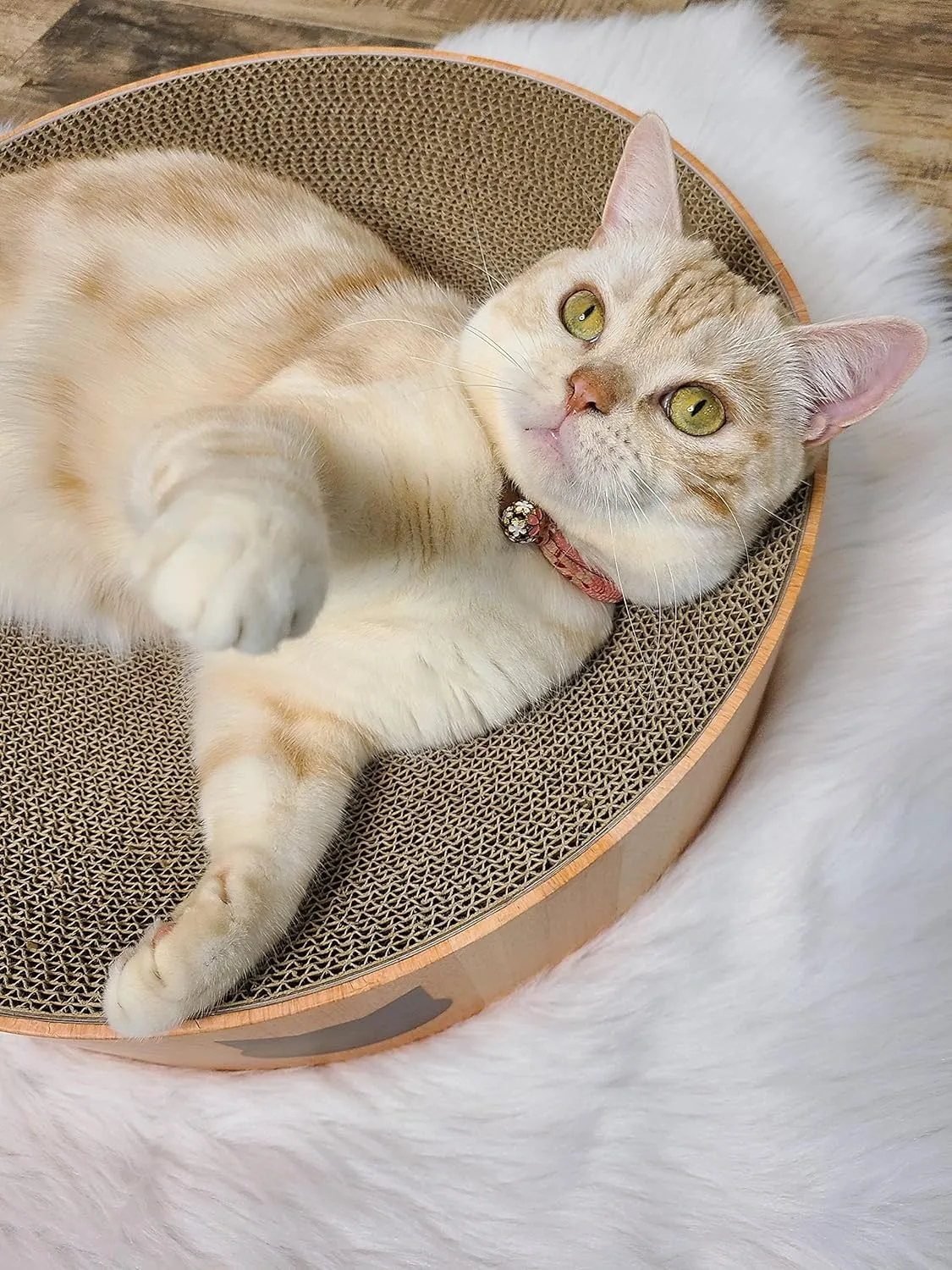 Necoichi Cat Scratcher Bowl for Indoor Cats - Cat Scratching Lounger with Reversible Usability and Extra Comfort for Lounge, Cardboard Bed Couch / (Regular, Oak)