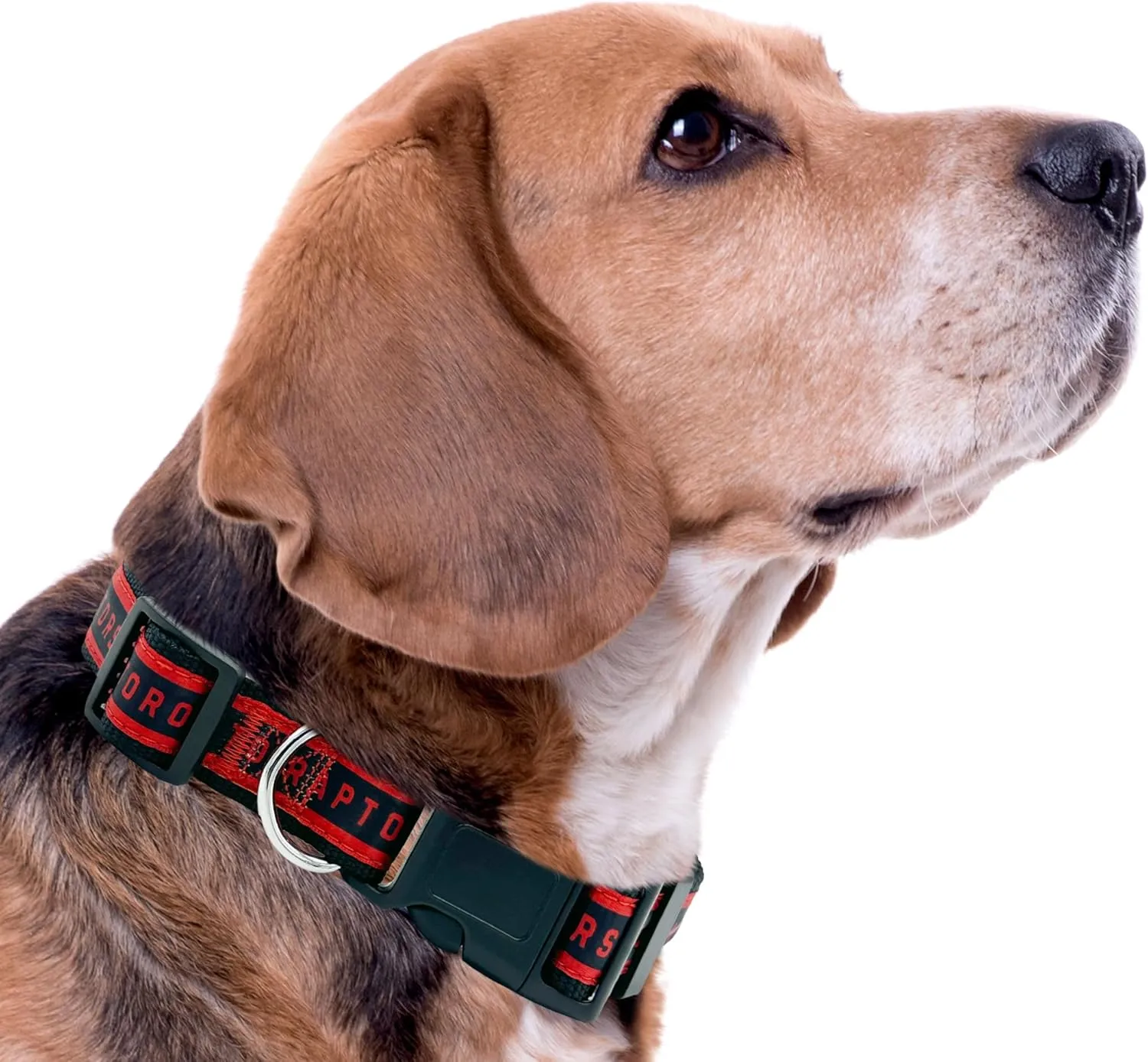 New & Improved Pets First NBA ,,, NBA 