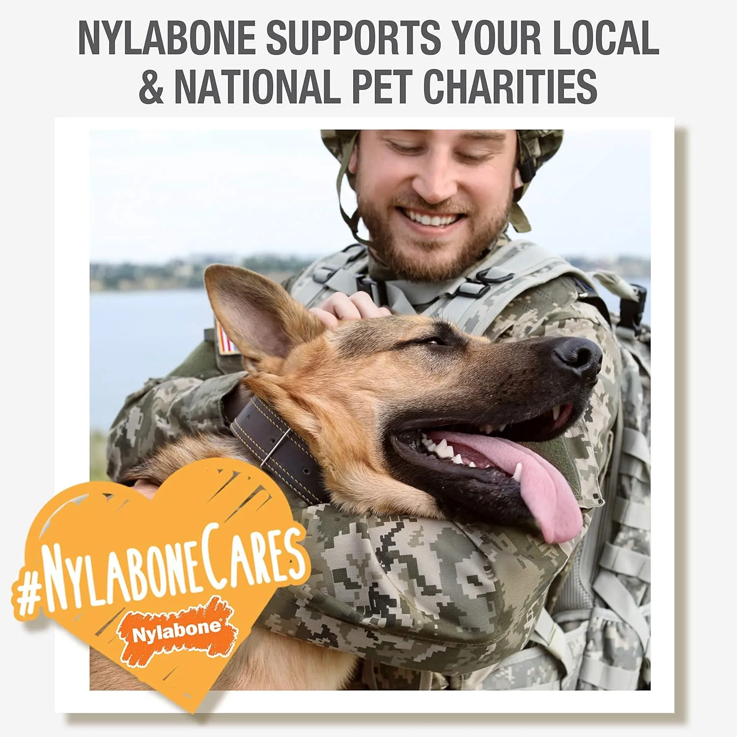 Nylabone Comfort Hold X-Bone Power Chew Toy for Dogs, Dog Toys for Aggressive Chewers, Beef Flavor, Small - Up to 25 lbs, 1 Count