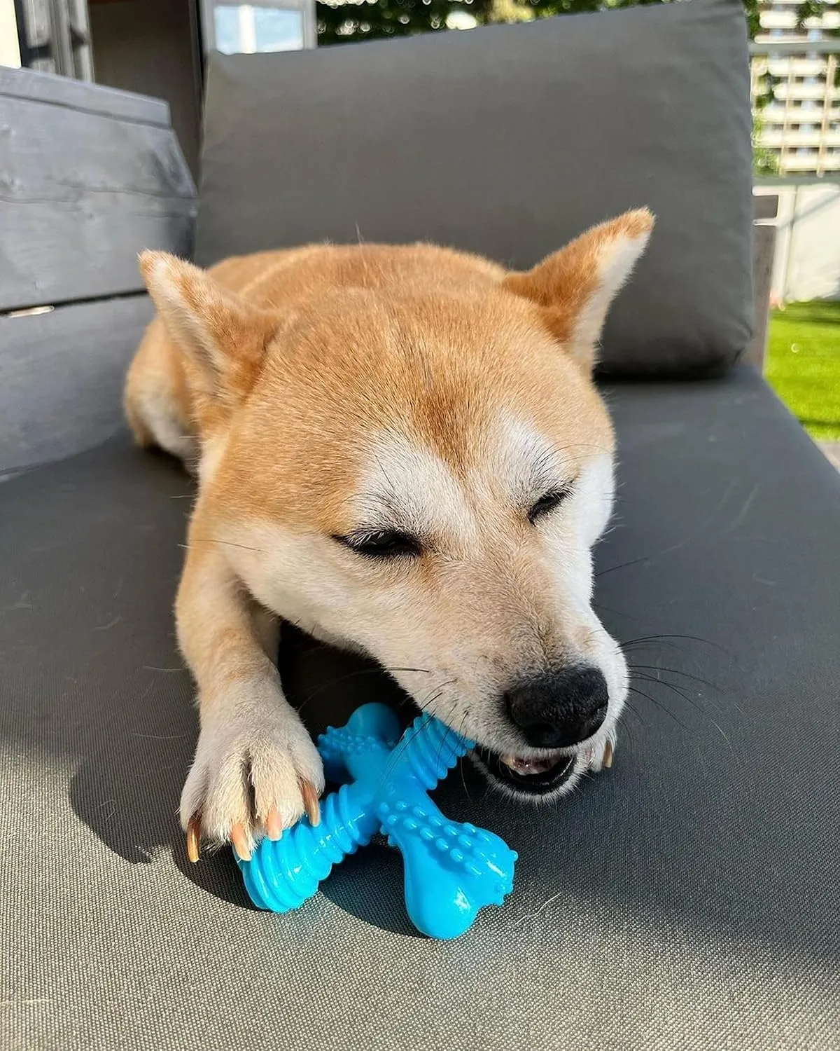 Nylabone Comfort Hold X-Bone Power Chew Toy for Dogs, Dog Toys for Aggressive Chewers, Beef Flavor, Small - Up to 25 lbs, 1 Count
