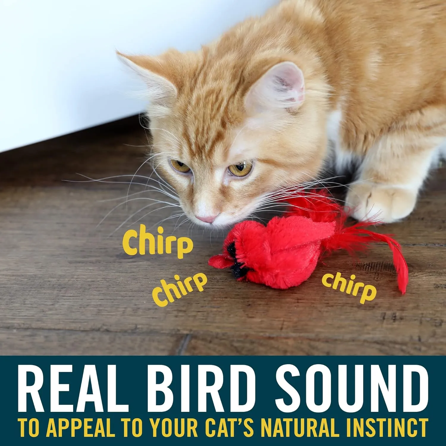 OurPets Play-N-Squeak Real Birds Interactive Cat Toys with Catnip (Cat Toys for Indoor Cats; Catnip Toy for Cats with Bird Chirping Electronic Sound and Feather)