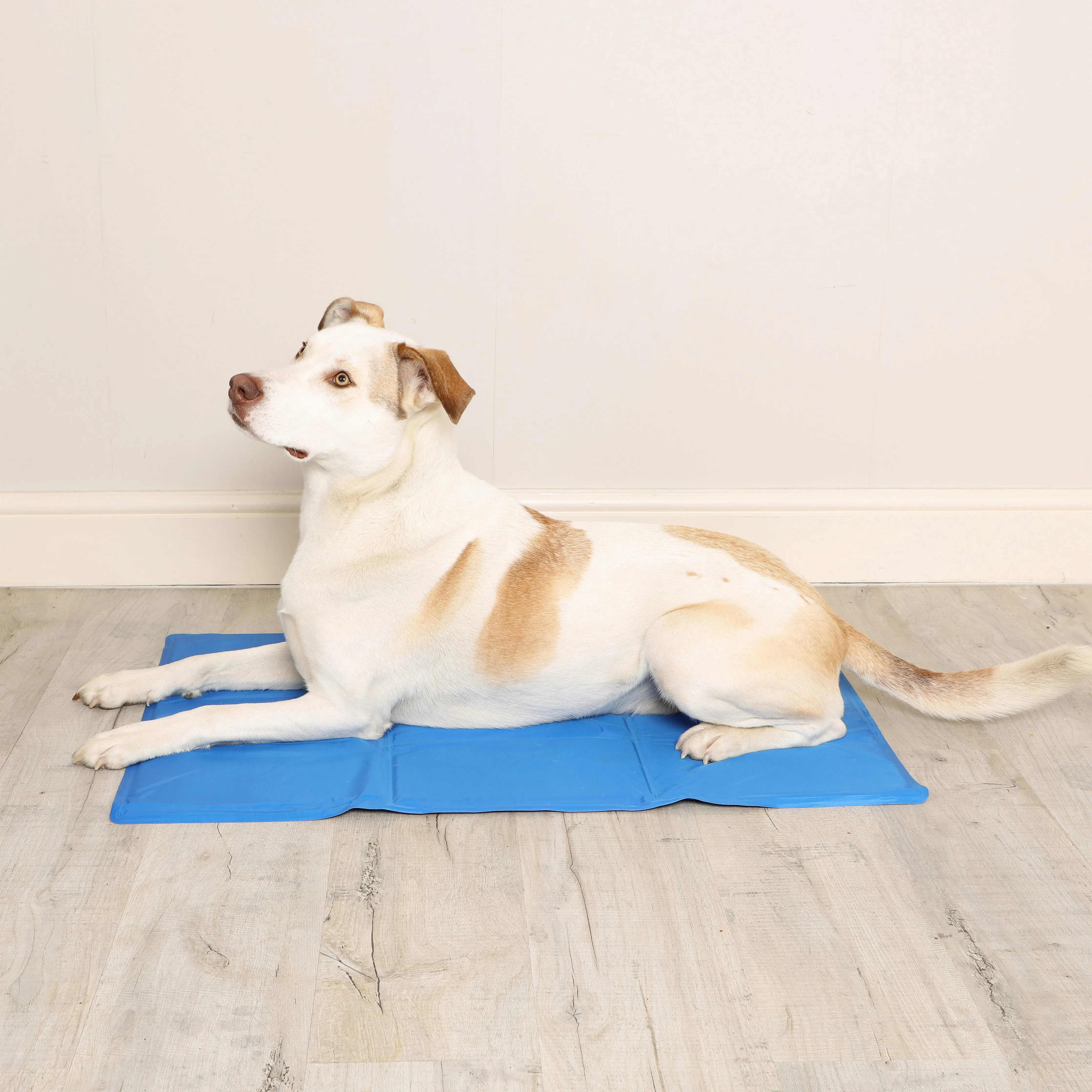 Pet Cooling Mat