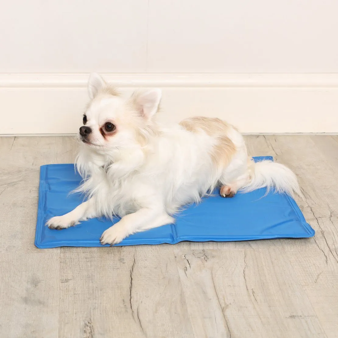 Pet Cooling Mat
