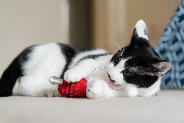 PLAY Cat Toy Feline Frenzy Christmas Twice as Mice