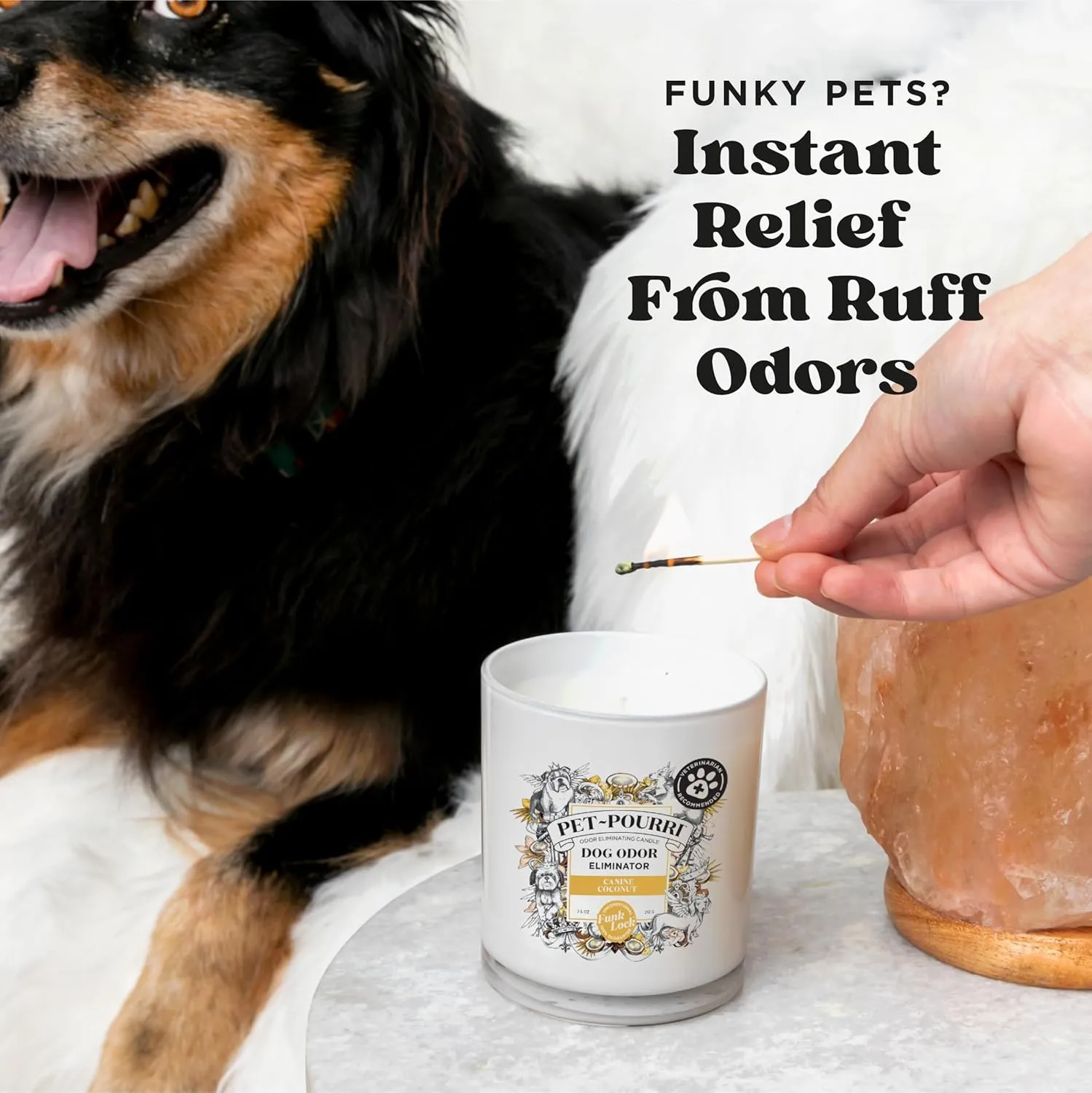Poo-Pourri Canine Coconut Dog Deodorizer Candle  Puppy & Dog Safe  Plant Based Ingredients & Wax  Vet Approved  Aromatherapy & Air Freshener for Pet Odor  Scented with Bamboo, Jasmine & Pear
