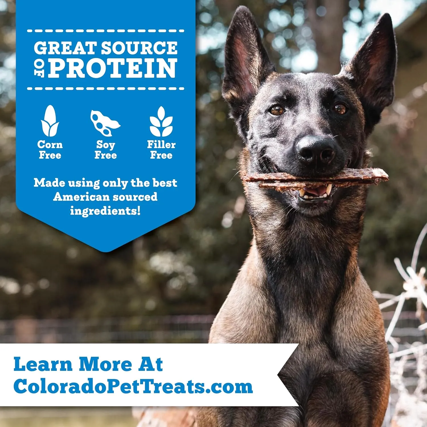 Salmon & Sweet Potato Jerky Chips, 14 oz  All-Natural Dog Treats, USA Made, Omega-3 Rich, Supports Health