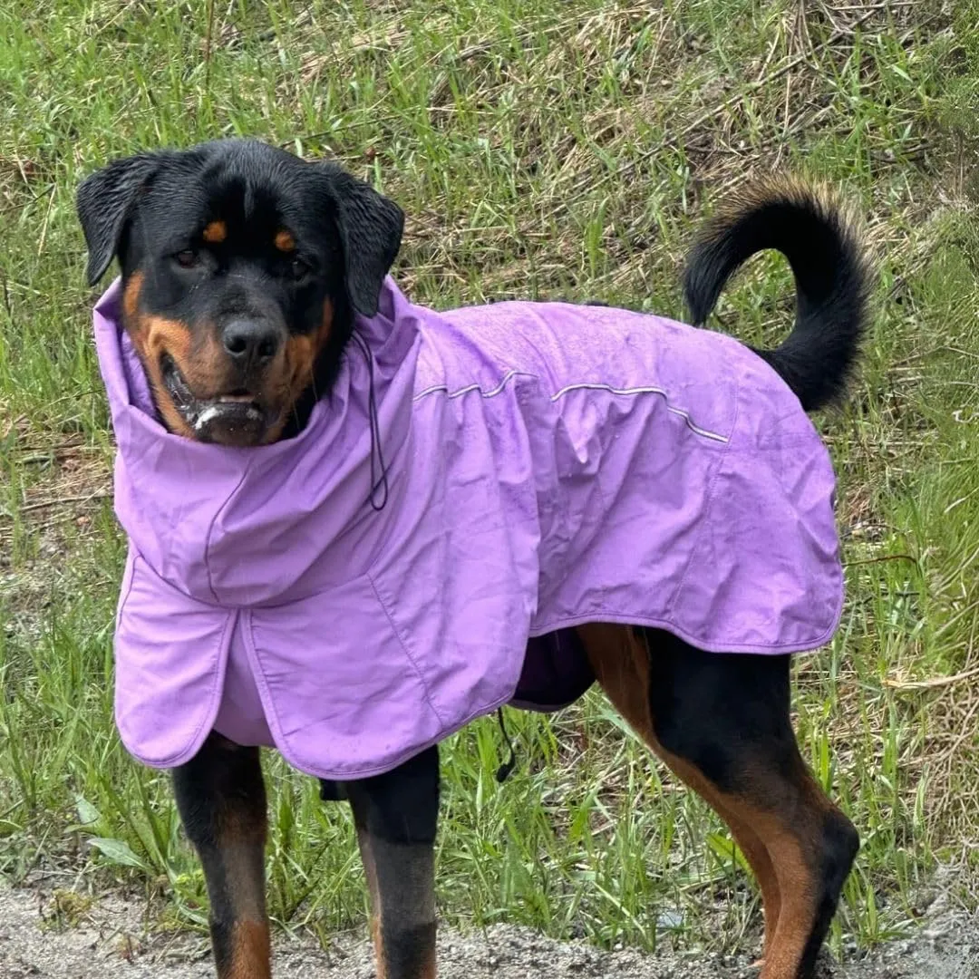 Spark Paws Dog Raincoat, Waterproof Windproof Rain Jacket, for Small Medium Large Extra Large Dogs, Reflective Breathable Full-Body Coverage Dry Suit - Purple - XL