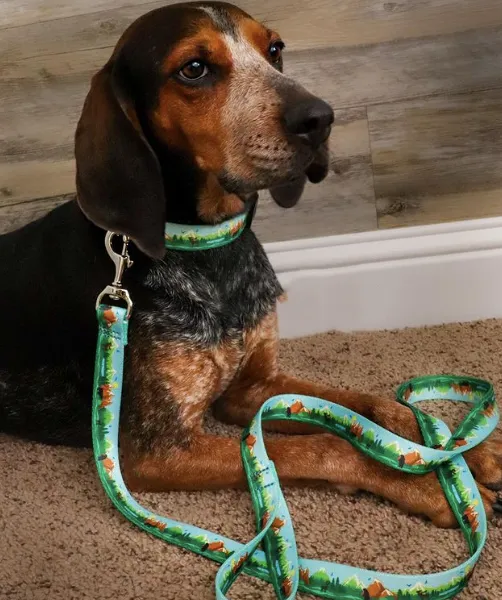 Sport Leash | Get Outdoors
