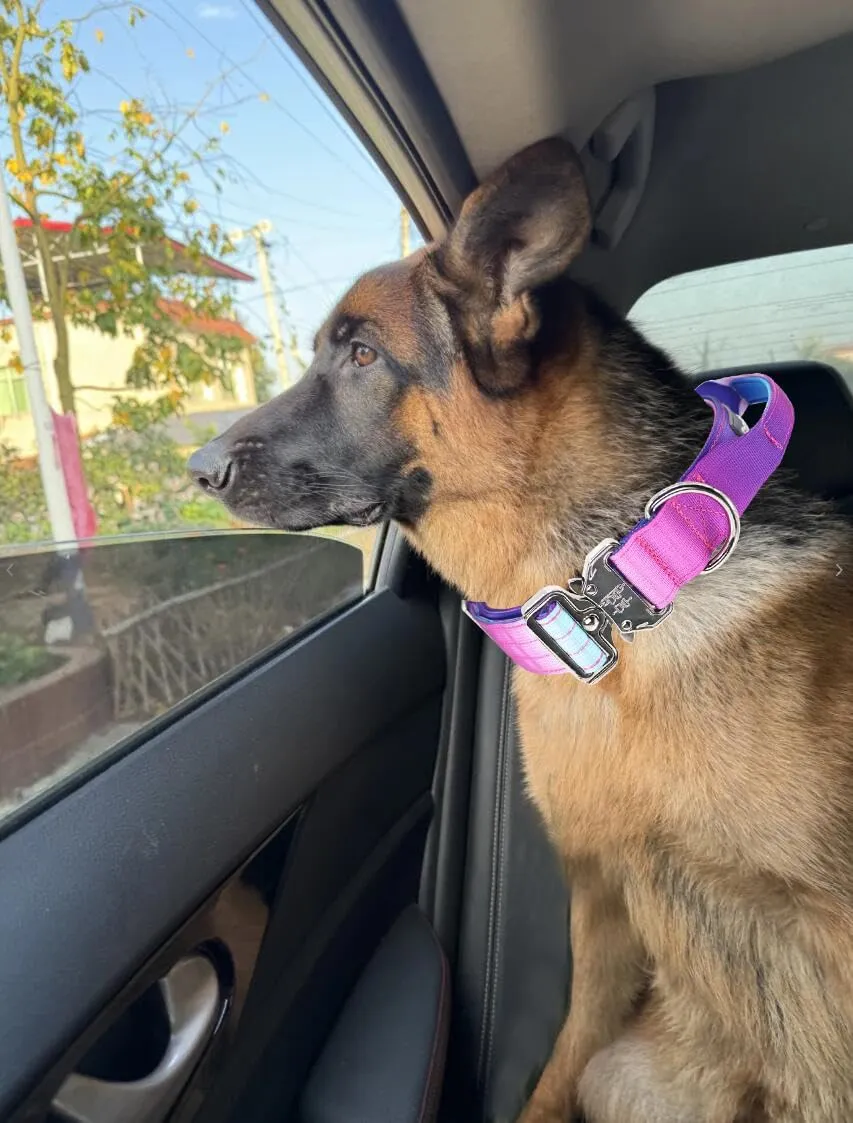 Tactical Dog Collar, Wide Thick Heavy Duty Dog Collar with Handle, Soft Neoprene Padded Military-Grade Nylon Training Collar with Quick Release Metal Buckle for Large Dogs(Purple, L,XL)